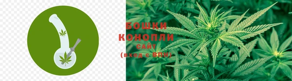 PSILOCYBIN Алексеевка