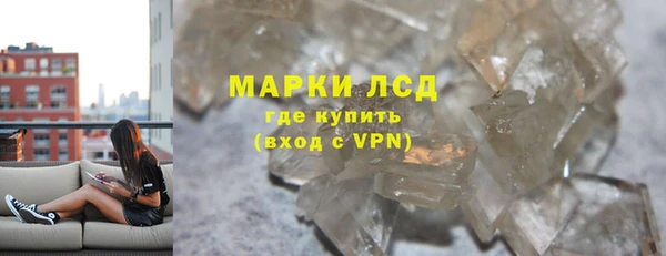 индика Алзамай