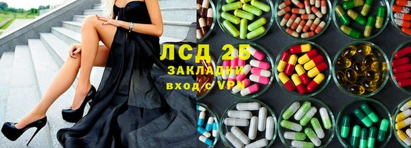 PSILOCYBIN Алексеевка
