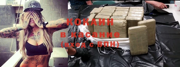индика Каменка