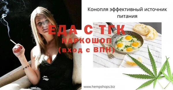 индика Корсаков