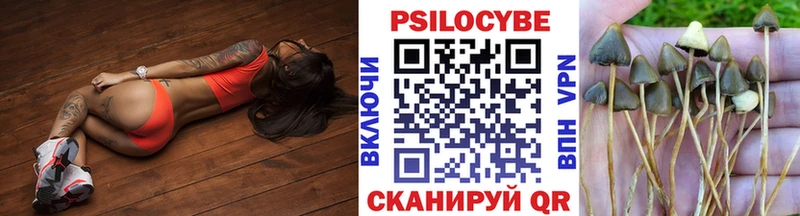 Псилоцибиновые грибы Psilocybine cubensis  ОМГ ОМГ онион  Енисейск  наркотики 